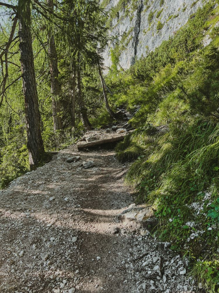 camino de tierra entre abetos y montañas en lago sorapis